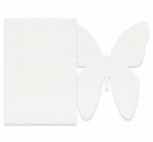 나비 종이 카드 만들기